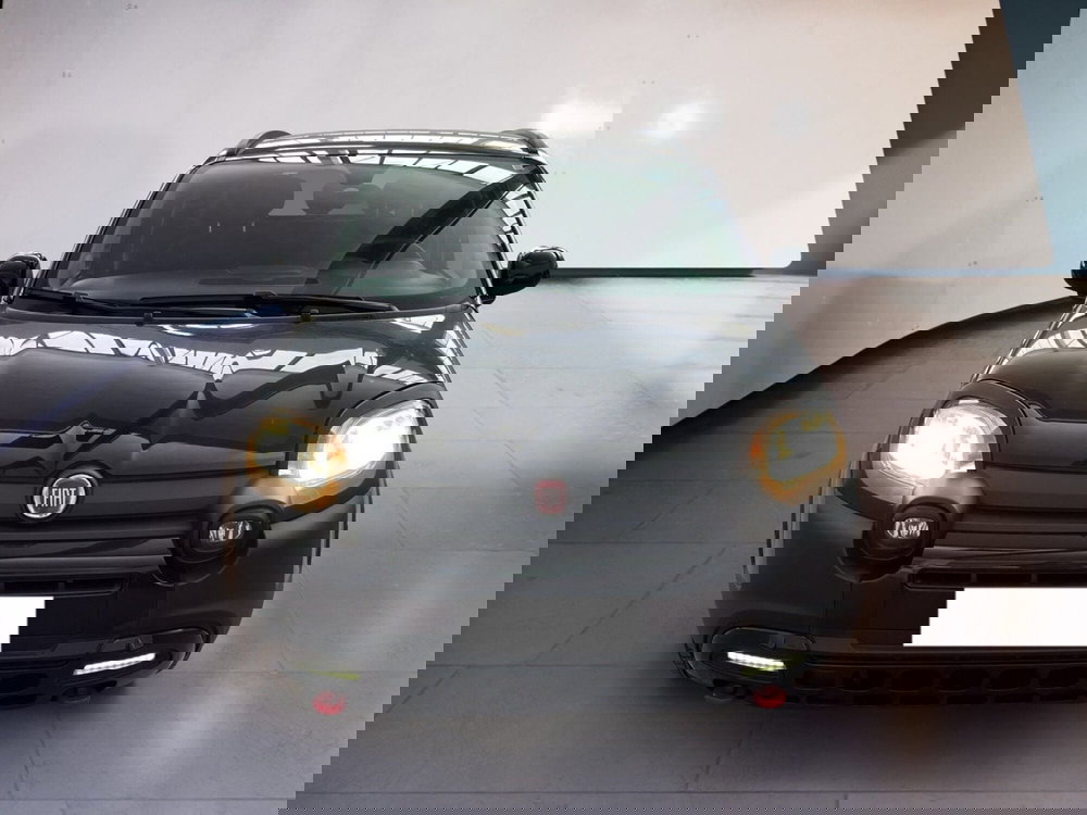 Fiat Panda usata a Torino