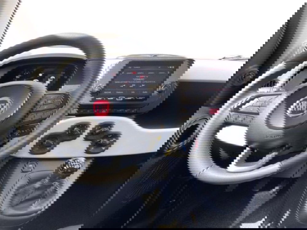 Fiat Panda Cross usata a Ancona (10)