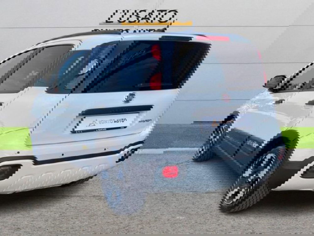 Fiat Panda Cross usata a Ancona (5)