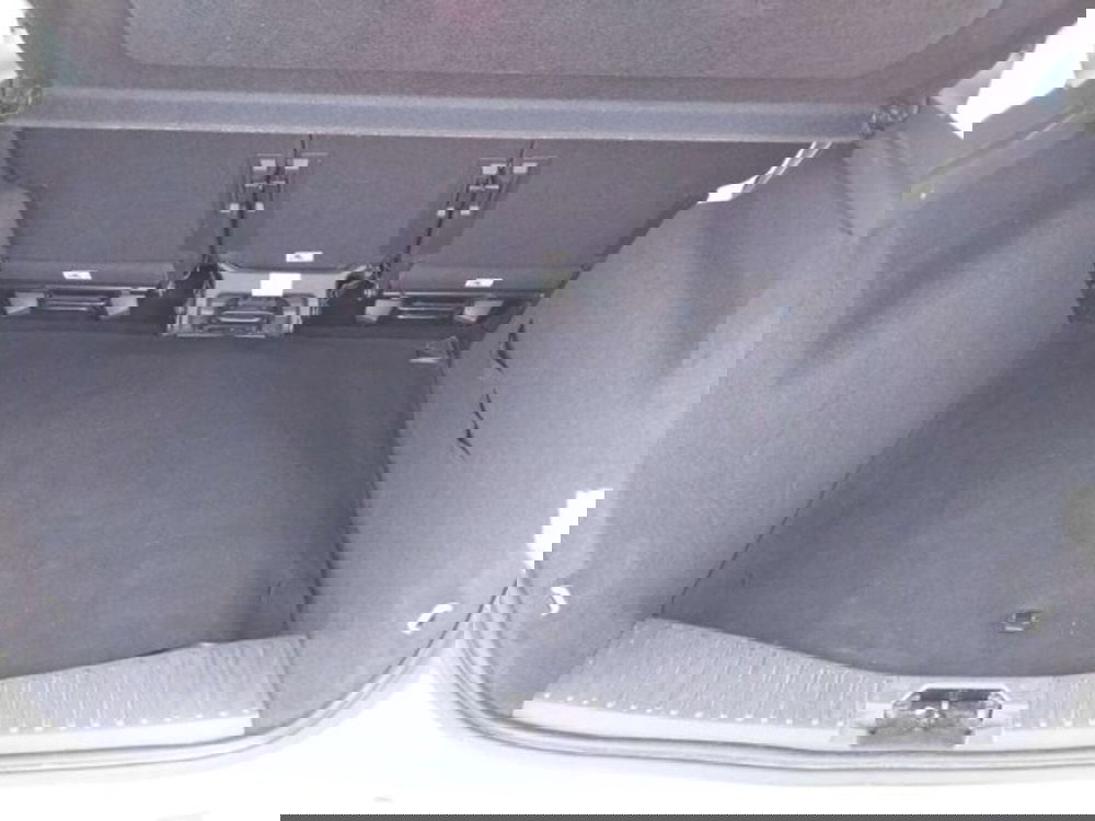 Ford C-Max usata a Firenze (9)