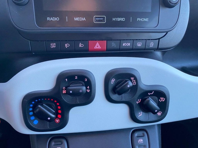 Fiat Panda Cross usata a Torino (10)