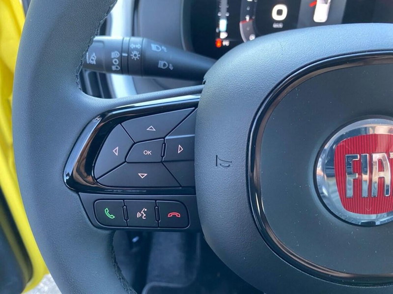 Fiat Panda Cross usata a Torino (11)