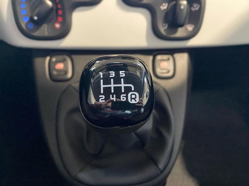 Fiat Panda Cross nuova a Torino (12)