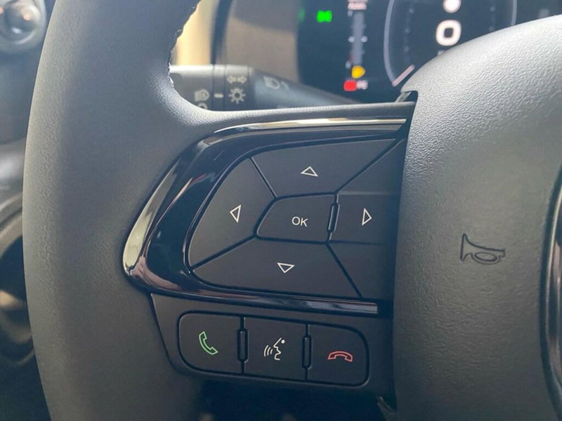 Fiat Panda Cross nuova a Torino (13)