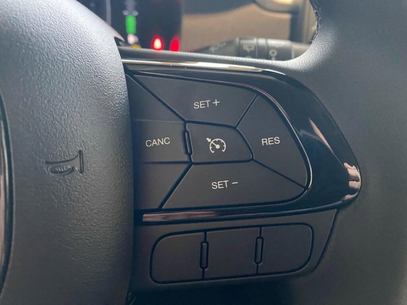 Fiat Panda Cross nuova a Torino (14)