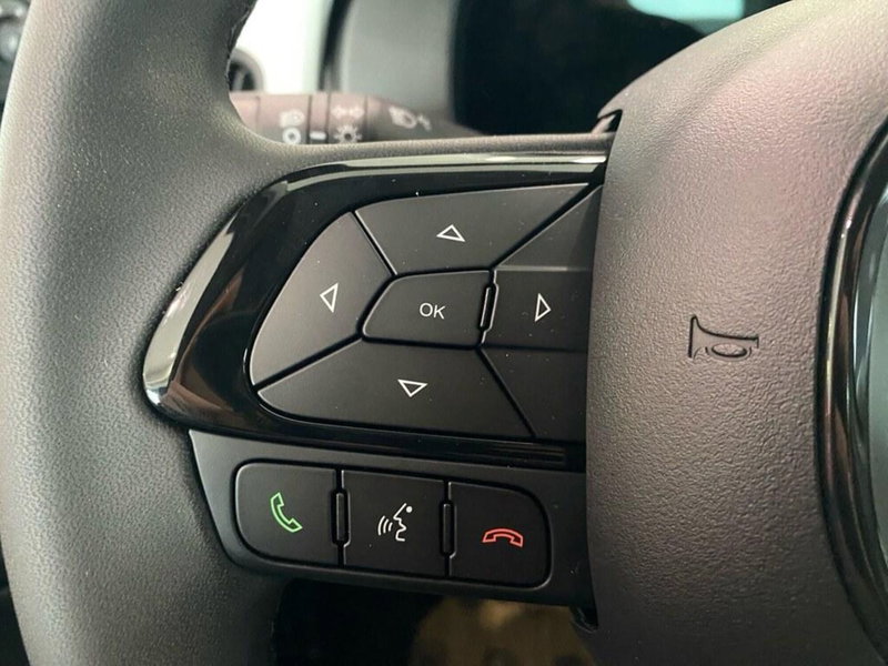 Fiat Panda Cross nuova a Torino (11)