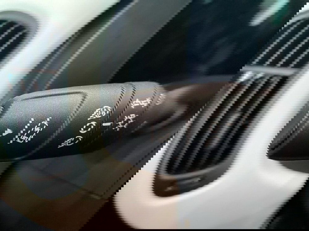 Fiat Pandina nuova a Torino (13)