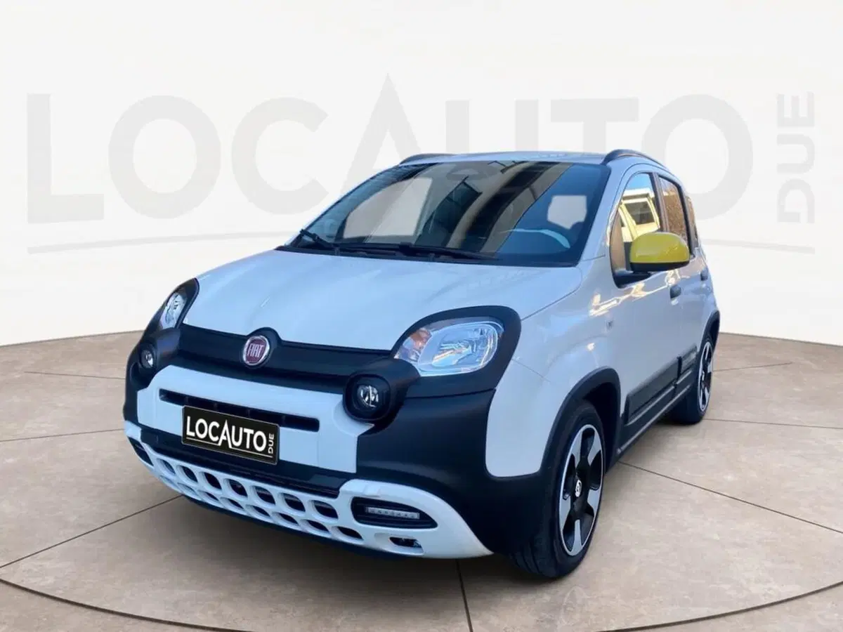Fiat Pandina nuova a Torino