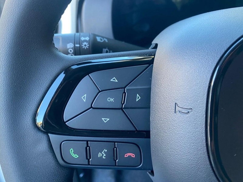 Fiat Panda Cross nuova a Torino (13)