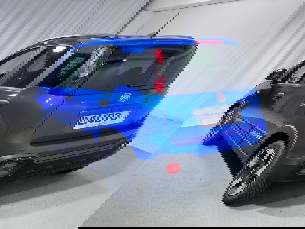 Fiat Pandina nuova a Sondrio (3)