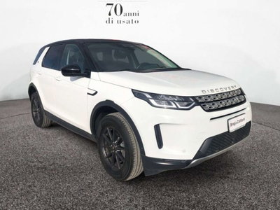 Land Rover Discovery Sport 2.0d td4 mhev S awd 163cv auto 7p.ti del 2021 usata a Empoli