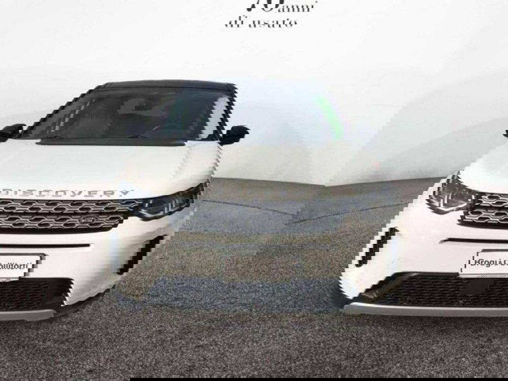 Land Rover Discovery Sport usata a Firenze (2)