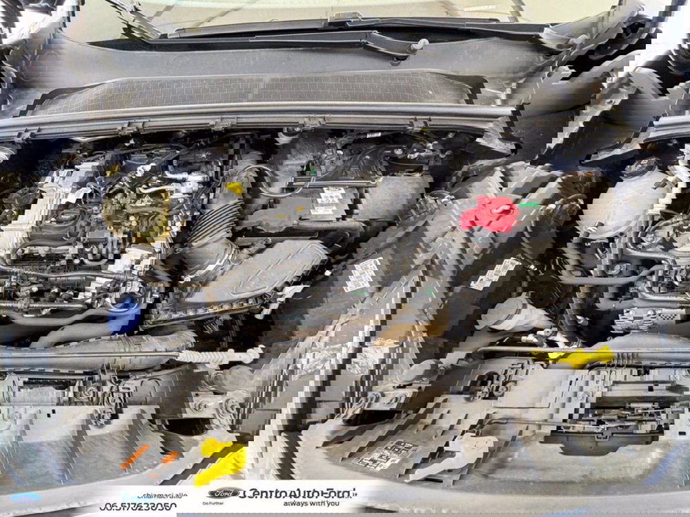 Ford Puma usata a Roma (12)