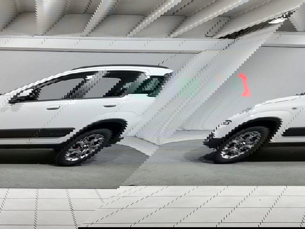 Fiat Panda usata a Sondrio (2)