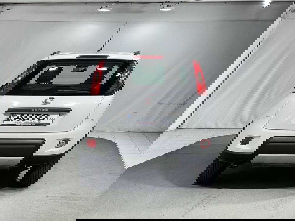 Fiat Panda usata a Sondrio (4)