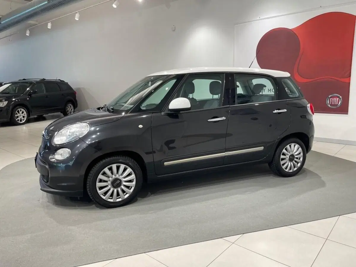 Fiat 500L usata a Sondrio (2)