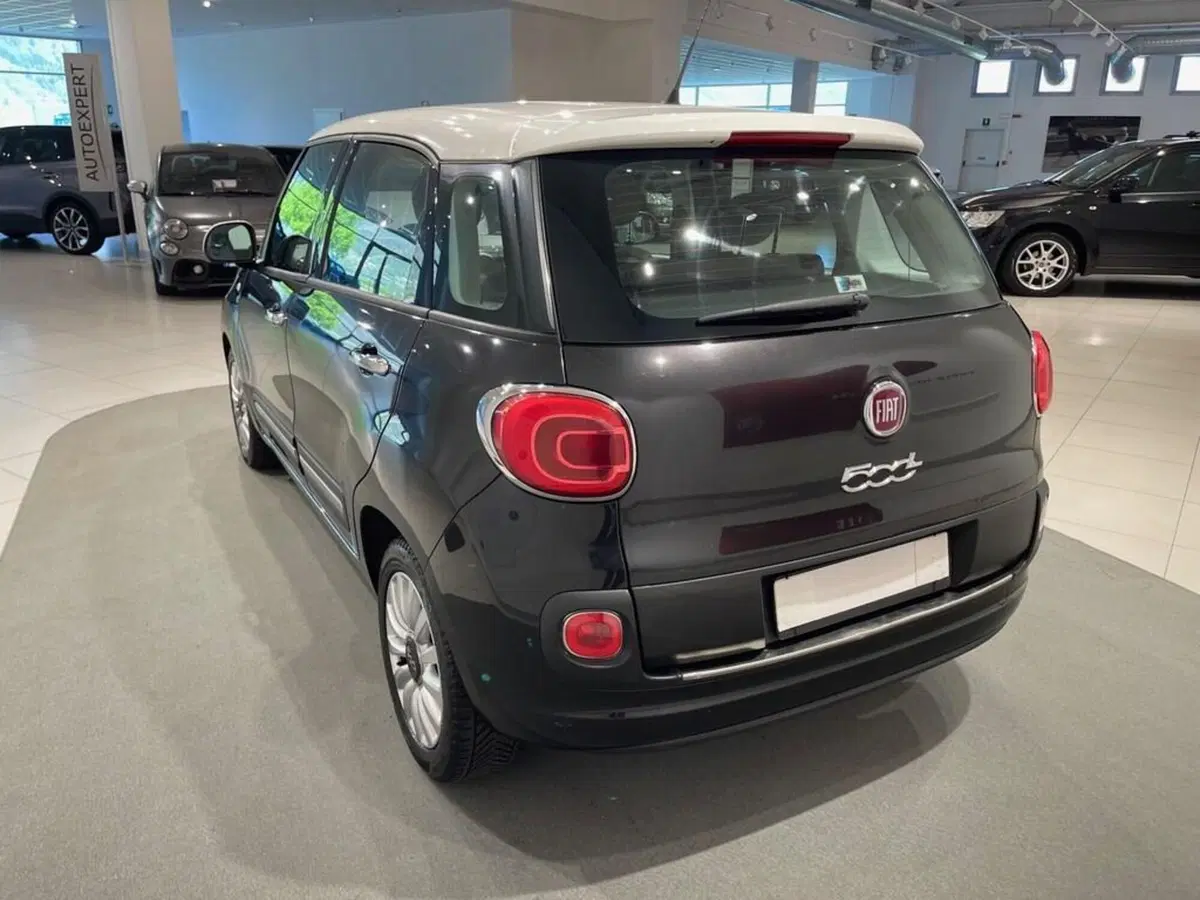 Fiat 500L usata a Sondrio (3)