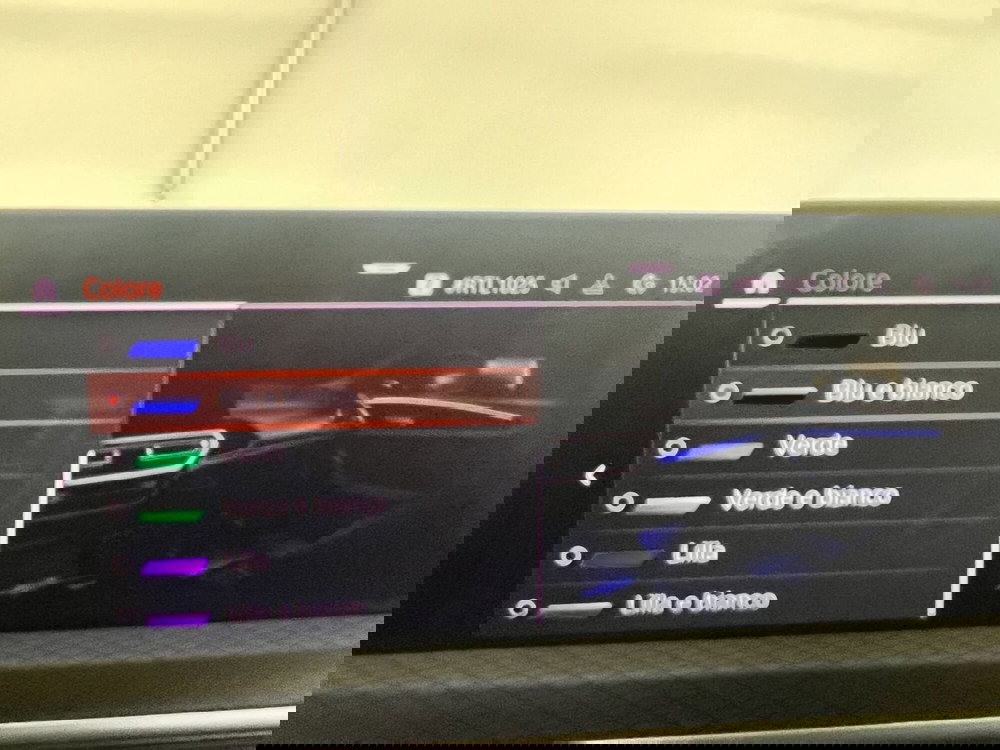 BMW X3 usata a Torino (17)