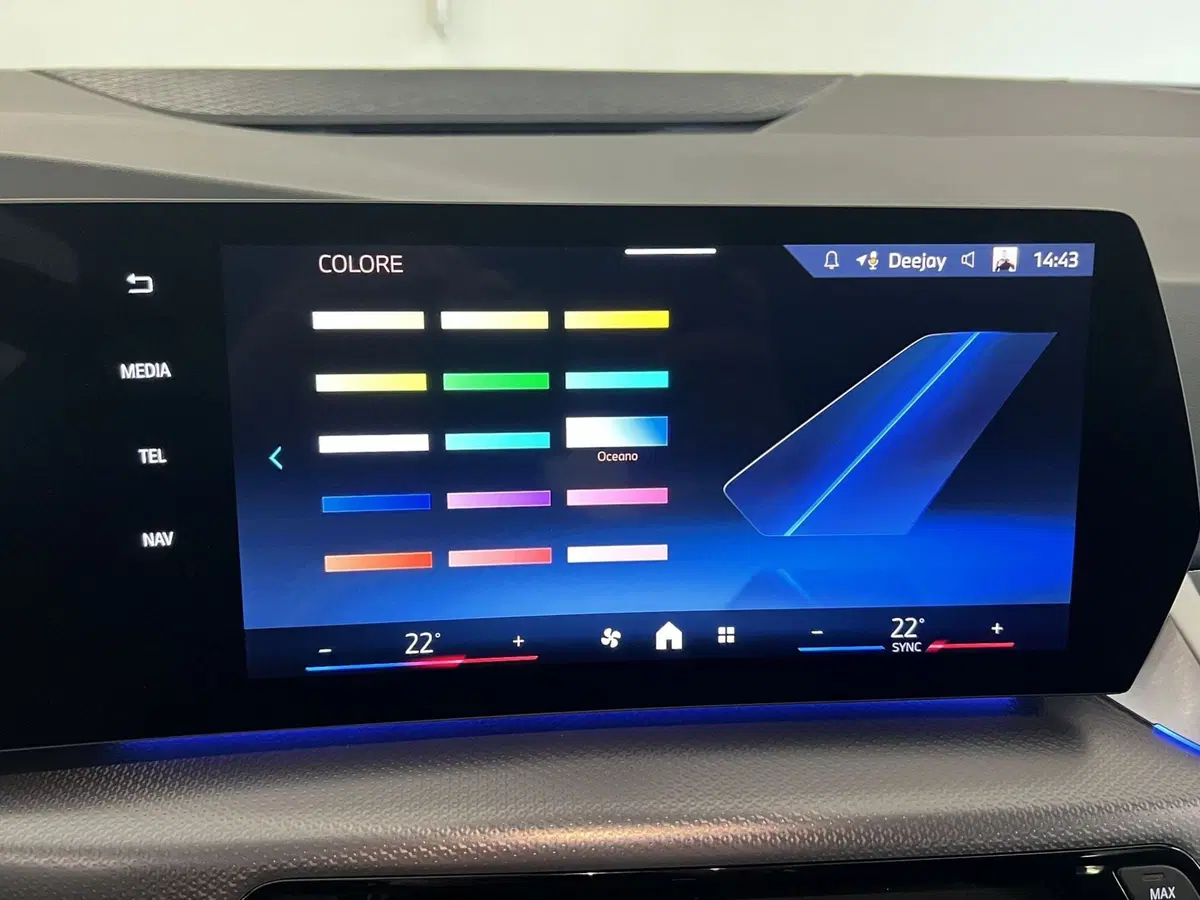 BMW Serie 2 Active Tourer usata a Torino (18)