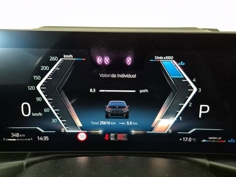 BMW Serie 3 Touring usata a Torino (15)