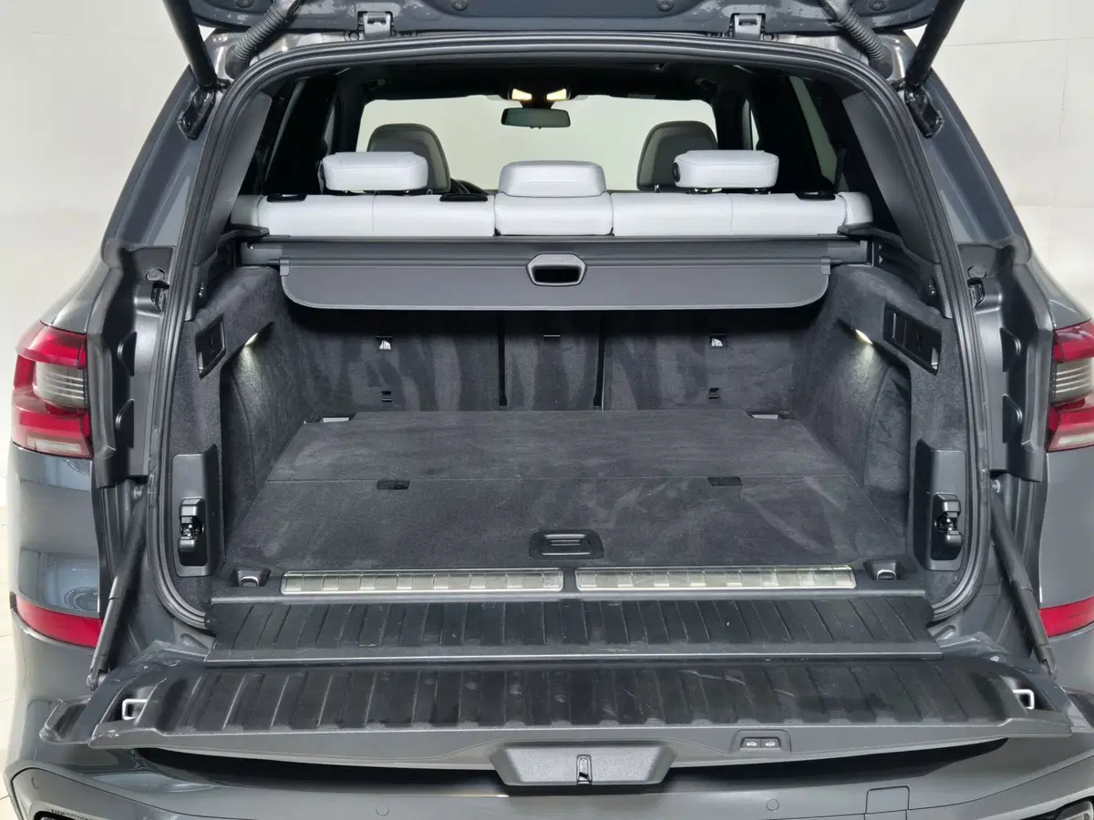 BMW X5 usata a Torino (13)