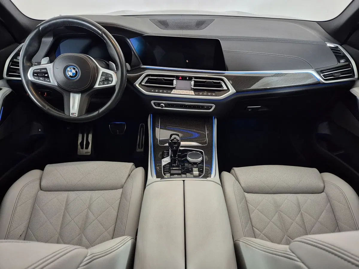 BMW X5 usata a Torino (9)