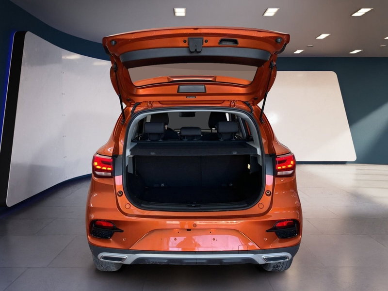 Mg ZS usata a Torino (8)