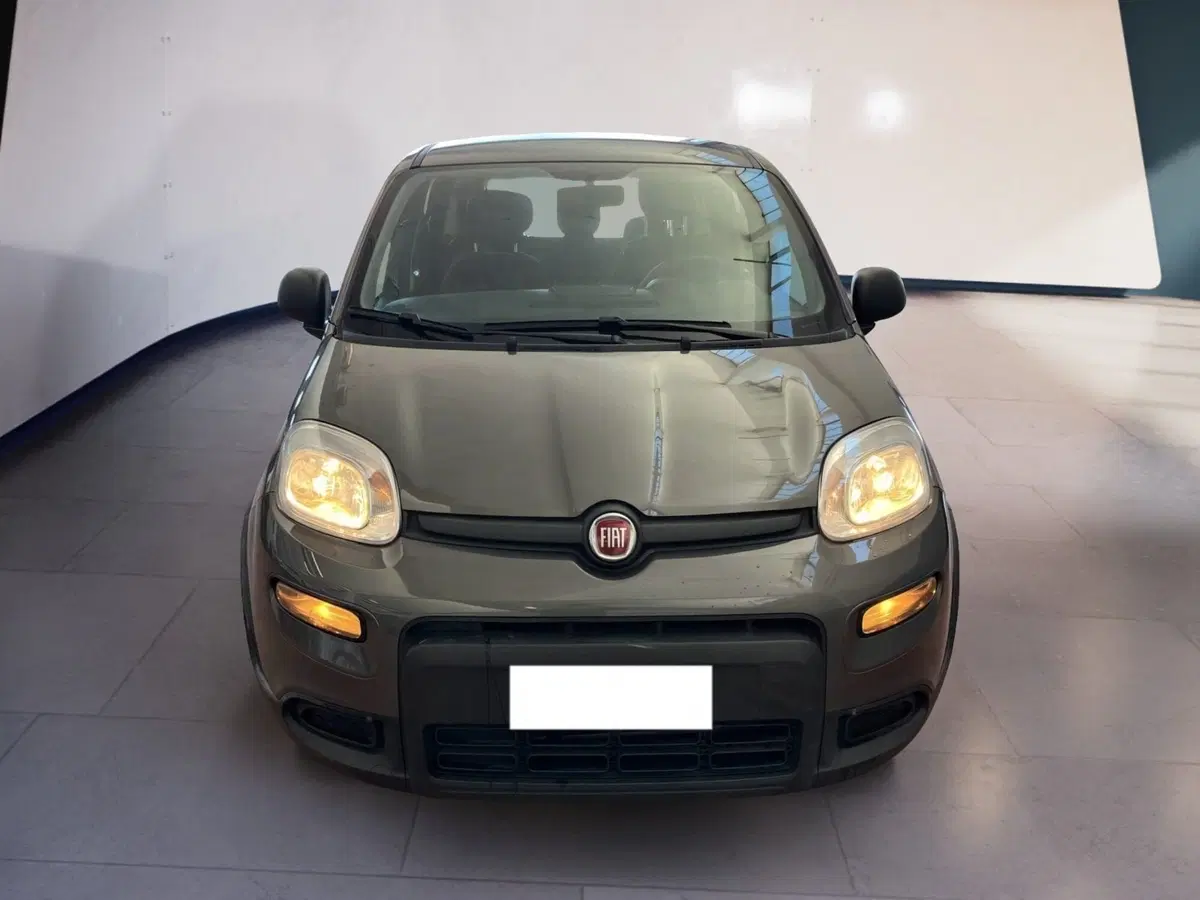 Fiat Panda usata a Torino