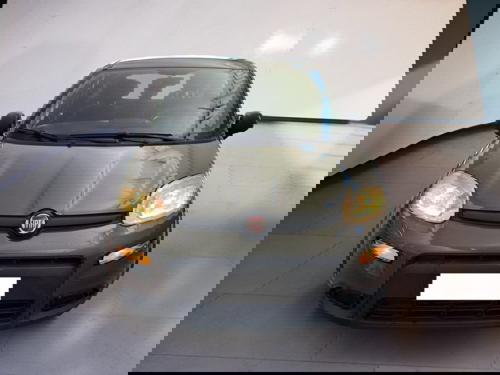 Fiat Panda usata a Torino
