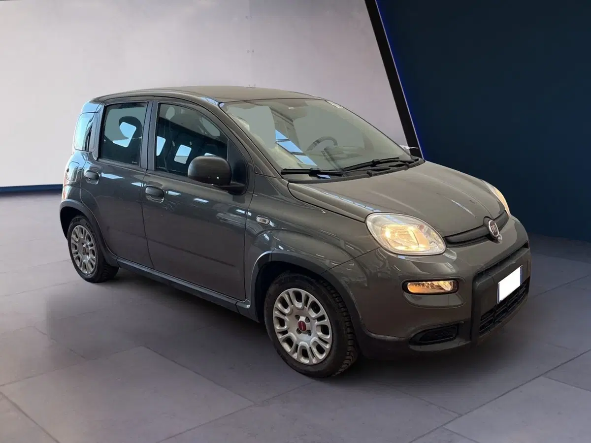 Fiat Panda usata a Torino (2)