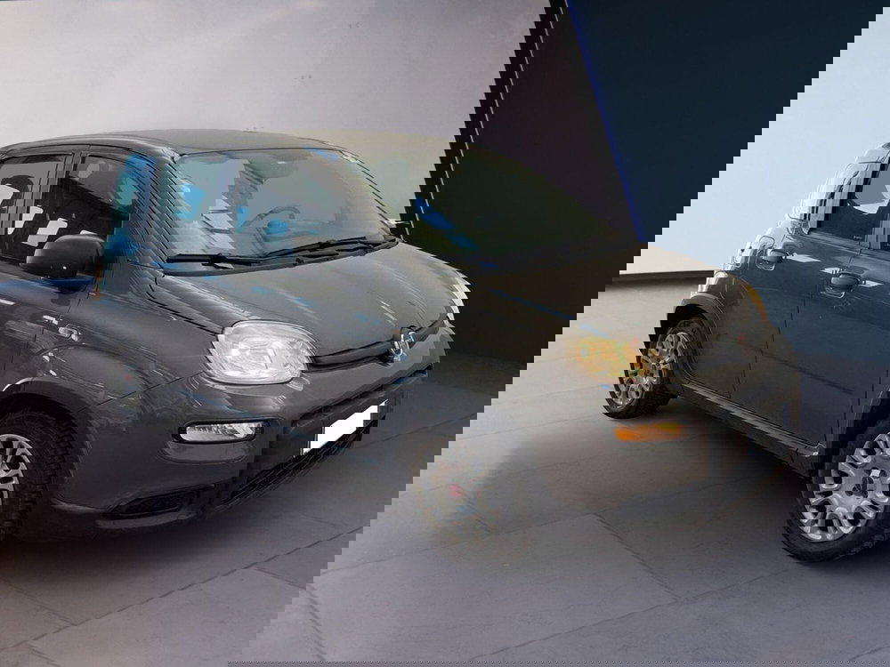 Fiat Panda usata a Torino (2)