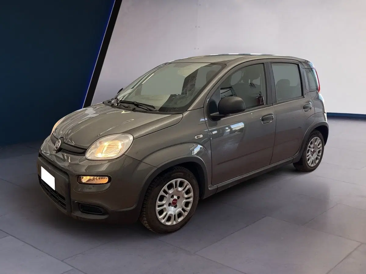 Fiat Panda usata a Torino (3)