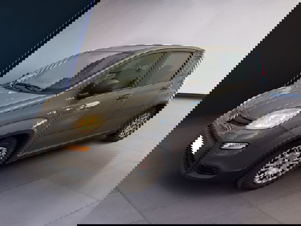 Fiat Panda usata a Torino (3)