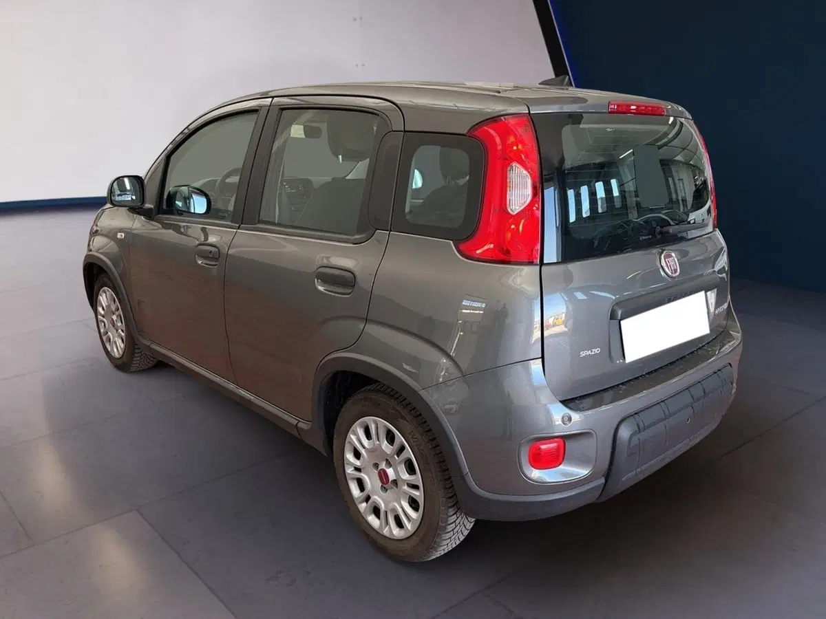 Fiat Panda usata a Torino (4)