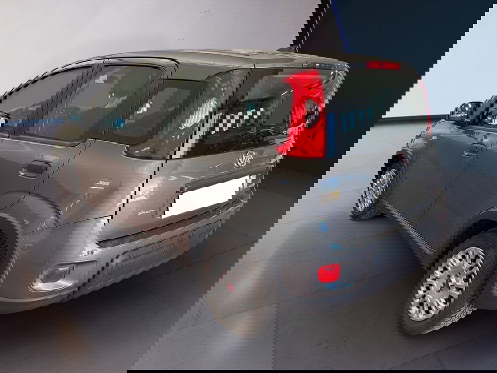 Fiat Panda usata a Torino (4)