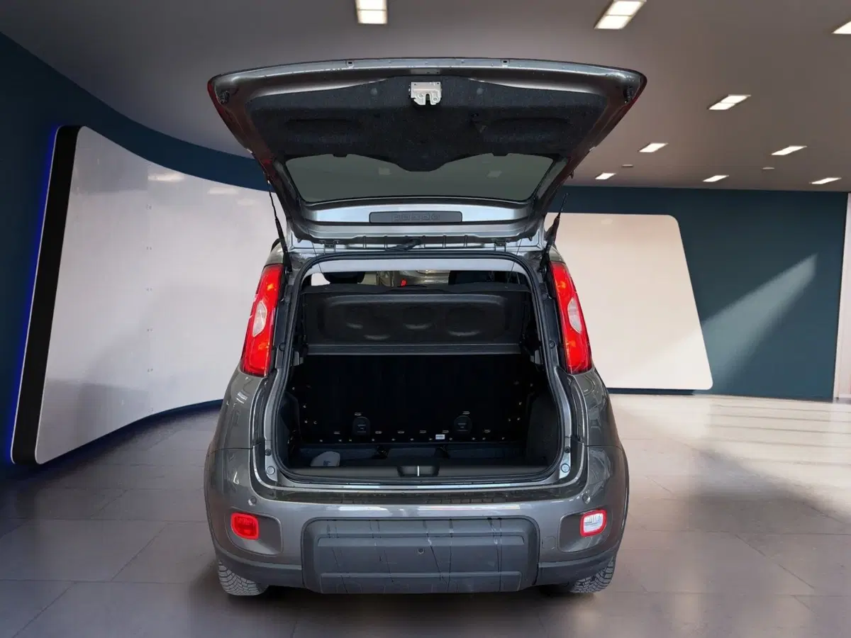 Fiat Panda usata a Torino (7)