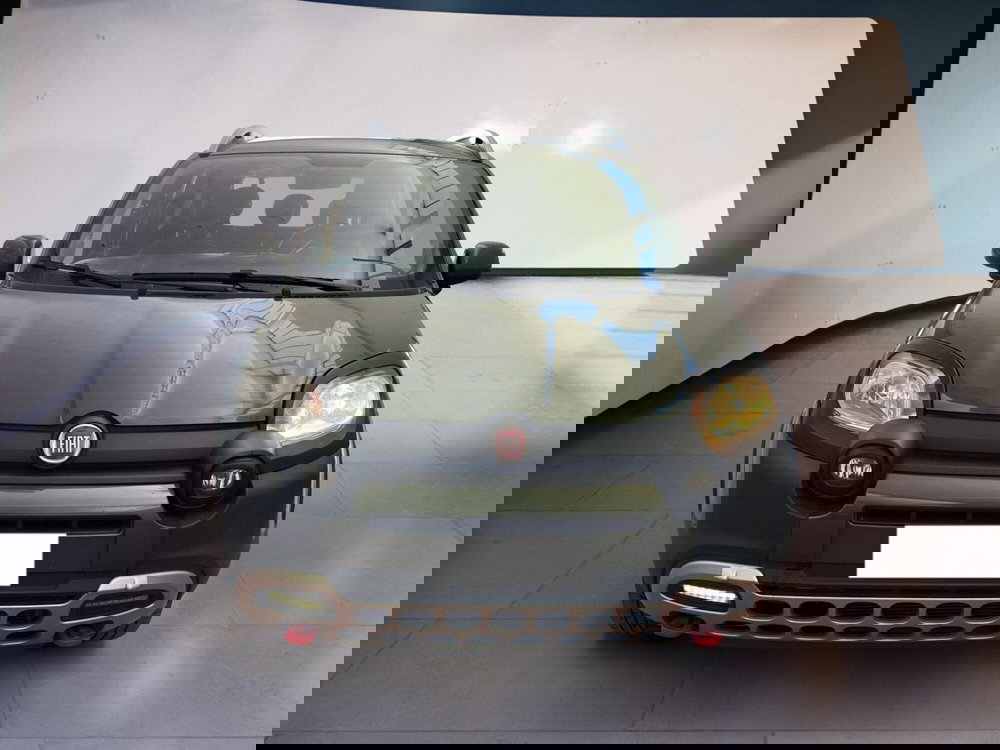 Fiat Panda usata a Torino