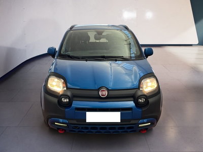Fiat Panda 1.0 FireFly S&amp;S Hybrid City Cross del 2023 usata a Torino