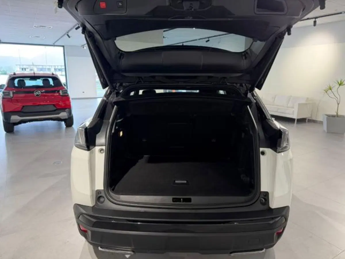 Peugeot 3008 usata a Salerno (20)