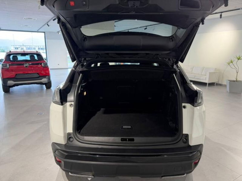 Peugeot 3008 usata a Salerno (20)