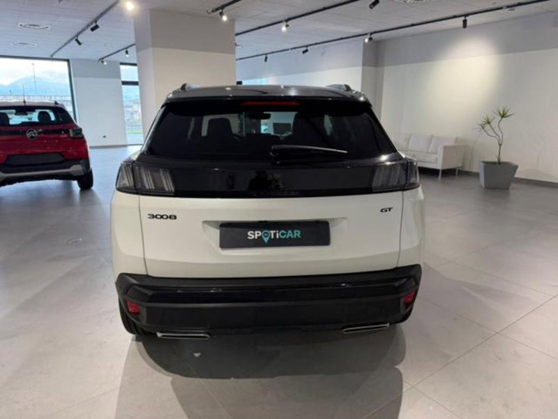 Peugeot 3008 usata a Salerno (5)