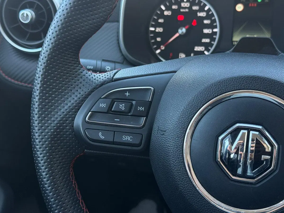 Mg ZS usata a Pavia (5)