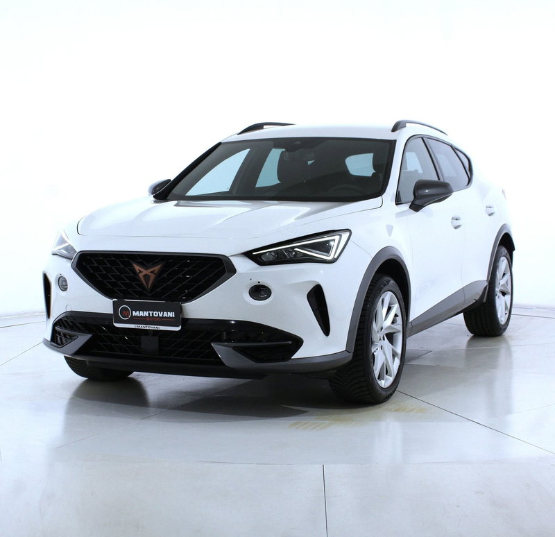 Cupra Formentor usata a Perugia