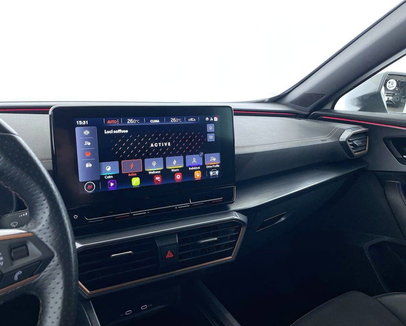 Cupra Formentor usata a Perugia (15)