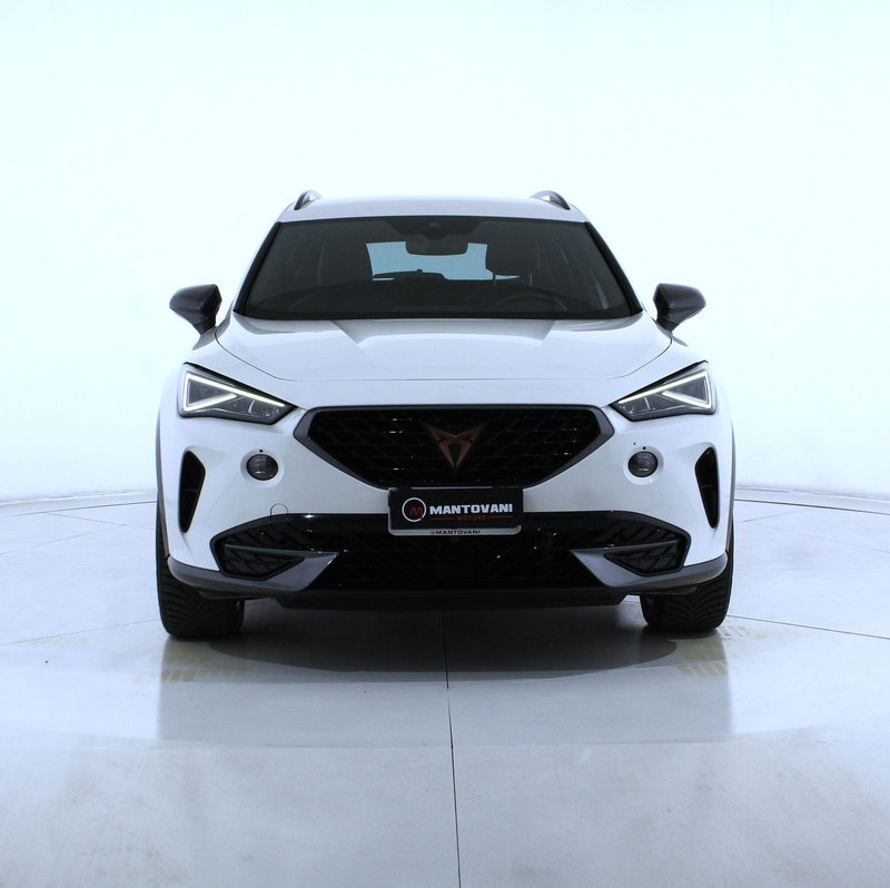 Cupra Formentor usata a Perugia (4)