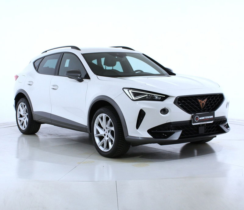 Cupra Formentor usata a Perugia (5)