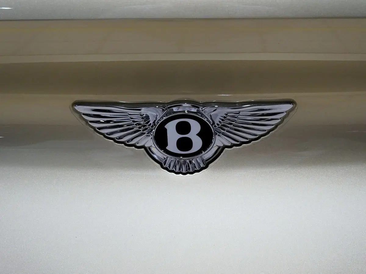 Bentley Continental GT usata a Milano (12)