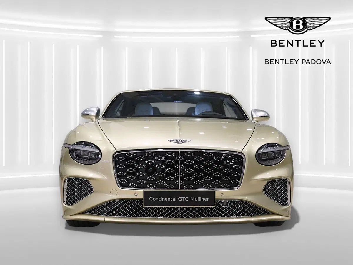 Bentley Continental GT usata a Milano (2)