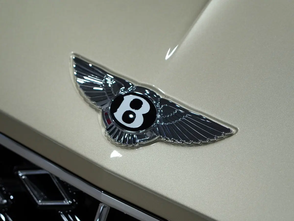 Bentley Continental GT usata a Milano (8)