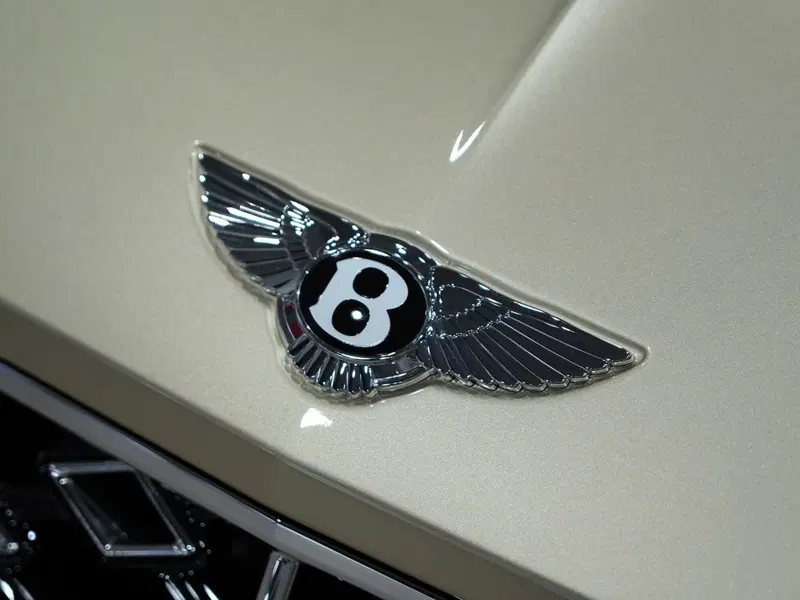 Bentley Continental GT usata a Milano (8)